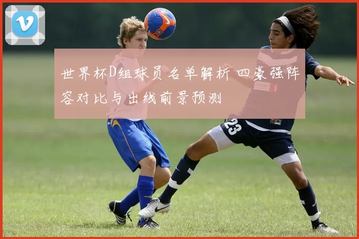 世界杯D组球员名单解析 四豪强阵容对比与出线前景预测