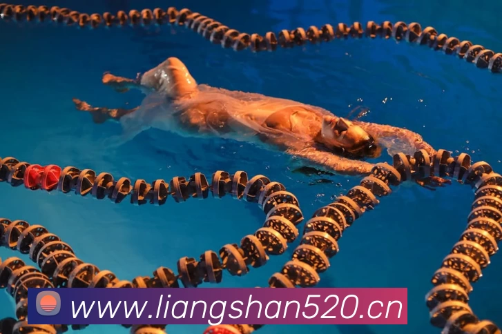 必一·运动(BSport)官方网站 - Official Platform服务体系